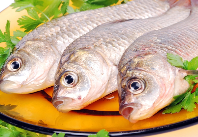 5K, healthy Eating, cooking, gourmet, close-up, retail, silver colored, ice, animal themes, carp, outdoors, food And Drink, meal, catch of Fish, sea, grey