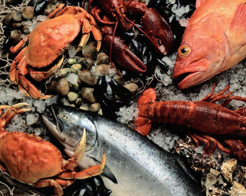 vertebrate, fish, gourmet, ice, animal, cooking, lobster, group of animals, red, sea Life, prepared Fish, food, no People, lobsters, animal themes, nature