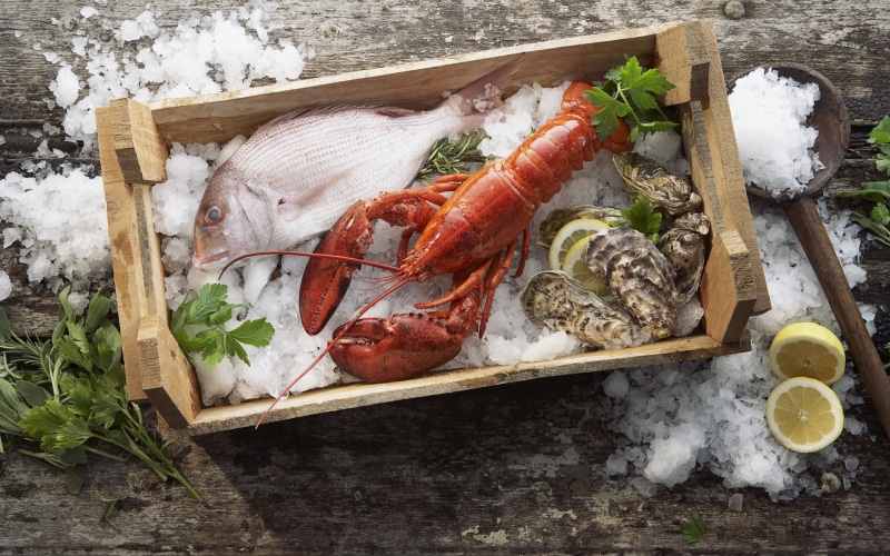 no people, crustacean, citrus fruit, ice, lemon, rustic, animal, nature, seafood, shrimp, refreshment, mussels, crayfish, freshness, cooking, gray, indoors