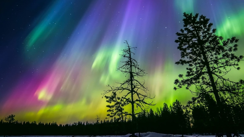 space, illuminated, landscape, idyllic, night, majestic, purple, aurorae, green color, tranquility, no people, star - space, plant, aurora polaris, stars