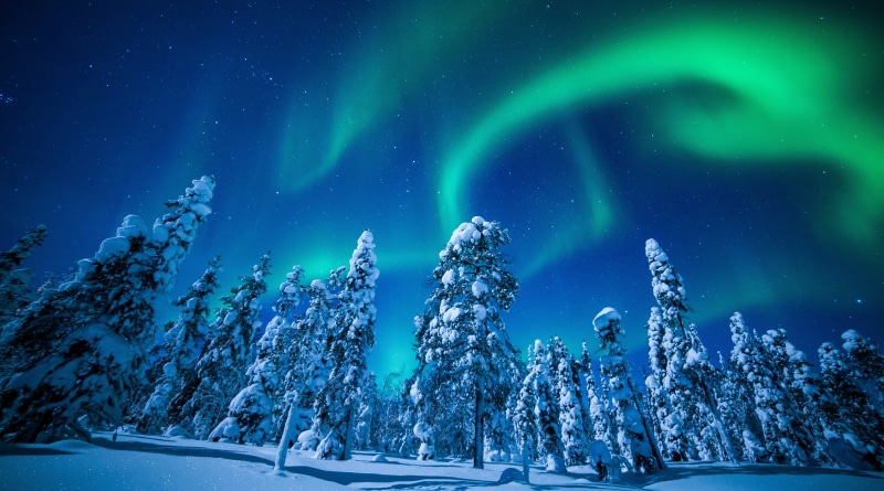 plant, lights, aurora polaris, northern, tranquility, sky, tranquil scene, green color, astronomy, finland, nature, space, Europe, environment, Night, frozen