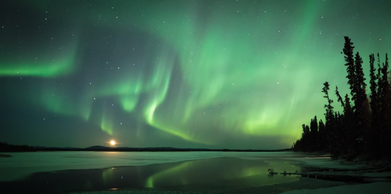 sky, aurora, night  sky, 2K, night sky, auroras, body of water, landscape, star - Space, astronomy, arctic, forest, night, northern lights, aurora Borealis