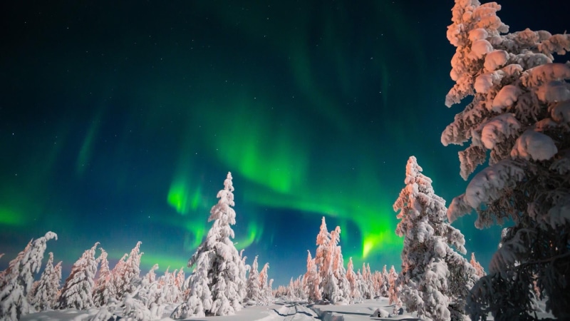 pine forest, snow, snowy, aurora polaris, luminosity, environment, awe, atmosphere, illuminated, russia, no people, forest, 1080P, sky, green color, low angle view