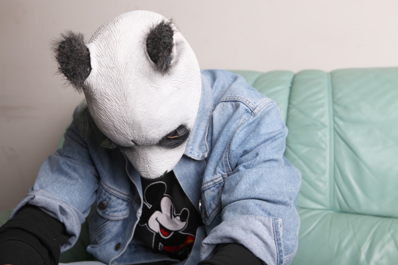 music, Carlo Waibel, Panda, cro, hip-hop, 5K, mask, germany