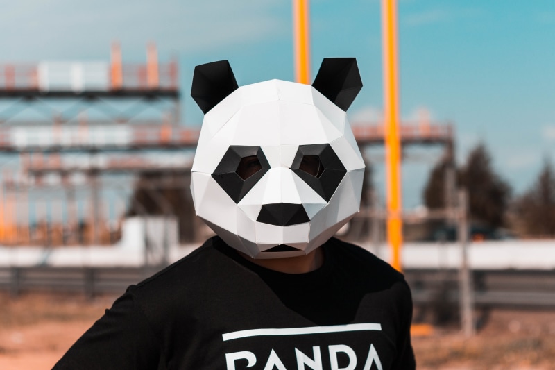 outdoor, face, fashionable, Panda, wearing, wear, outdoors, waist up, portrait, fashion, human, black, mask, costumes, landscape, lifestyles, full, day