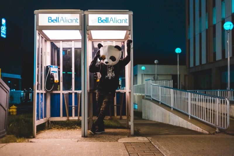 illuminated, leisure activity, lifestyles, city, grime, street, wearing, panda, bear, surreal, real people, people, booth, mask, sign, standing, western script