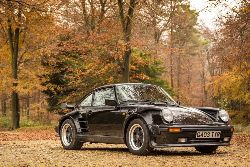 plant, metal, change, retro styled, 911, 930, no people, tree, turbo, day, edition, vintage car, transportation, leaf, forest, 1989, 720P, mode of transportation