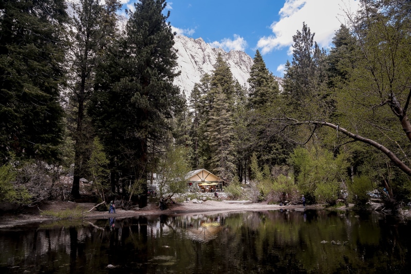 beauty in nature, united states, water, john muir, adventure, wanderlust, no people, growth, trail, tree, outdoors, travel, reflection, roadtrip, mt. whitney trailhead