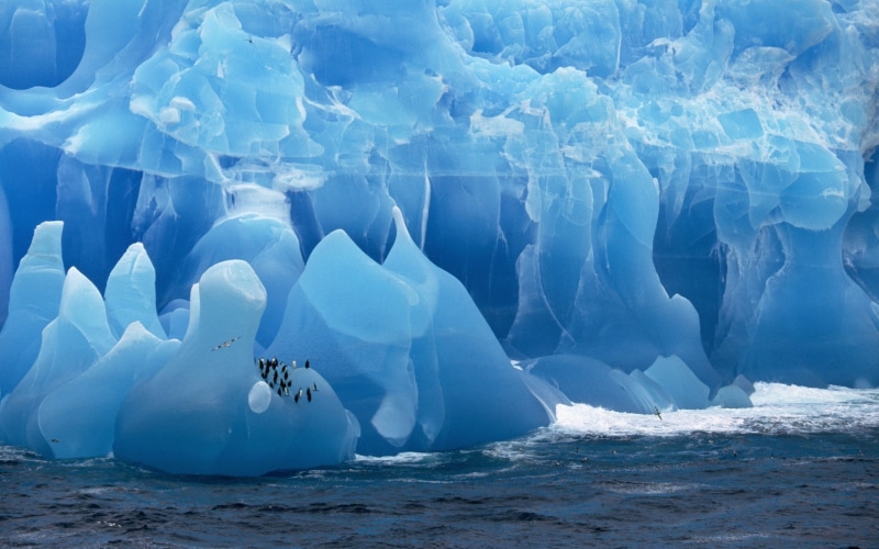 nature, cold temperature, no people, birds, ice, 2K, winter, environment, glacier, melting, Antarctica, beauty in nature, landscape, lagoon, iceberg, blue