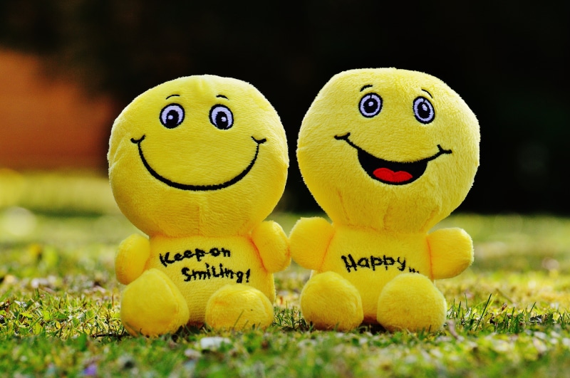 good mood, funny, anthropomorphic face, courage, cheerful, happy, fun, humor, positive, smiling, art and craft, two, beginning, emotion, no people, start
