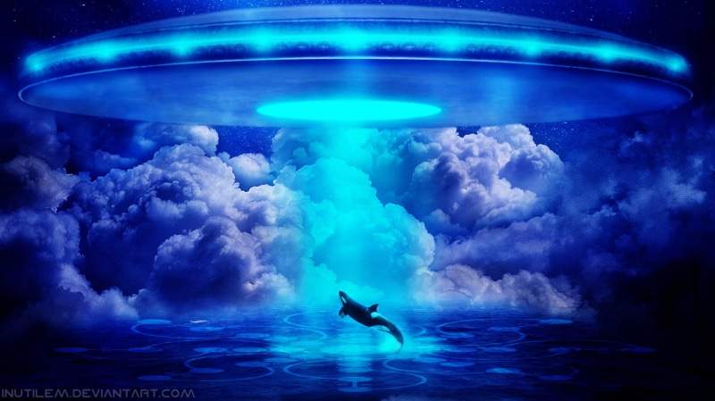 scenics - nature, outdoors, blue, sea, Orca, undersea, animal themes, 1080P, sea life, motion, one person, animal, Abduction, swimming, water, Alien, animal wildlife
