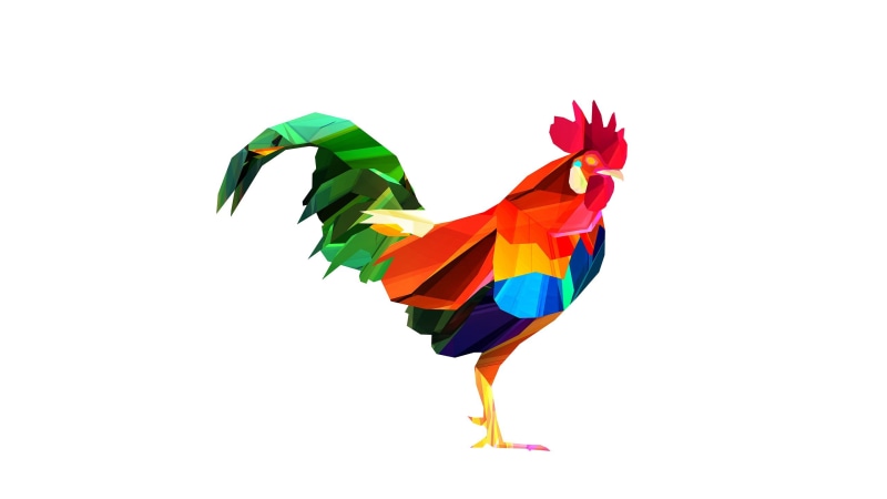 no people, roosters, macaw, white background, multicolored, blue, colors, animals, close-up, flying, isolated, zoo, orange color, pets, toy, cute, animal