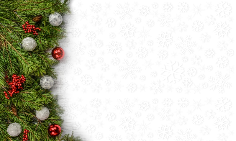 wooden, winter, red, still life, happy, no people, rowan, design, floral pattern, xmas, nature, decoration, snowflakes, photo, branch, directly above, border