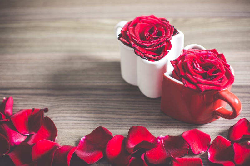 rose - Flower, backgrounds, flower, Cups, couple, 4K, petal, rose leafs, Love Heart, still life, vulnerability, red roses, heart Shape, leafs, hearts