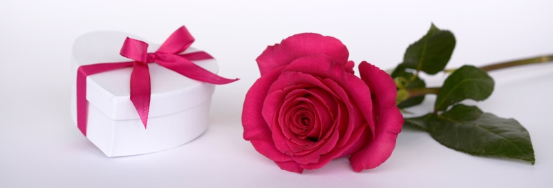 rose flower, relationship, no people, surprise, loop, box, red, bow, white background, gift box, wedding day, romantic, valentines day, studio shot, ribbon