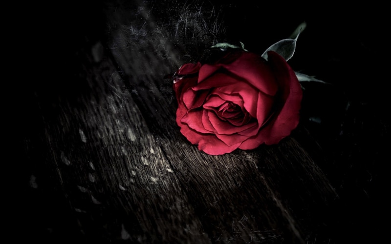 holidays, gothic, mood, roses, 720P, valentine 039 s, day, dark