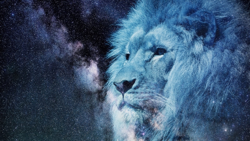 4K, stars, zodiac, milky way, astronomy, lion, sky, darkness, starlight, head, starry sky, wildlife, visual effects, space