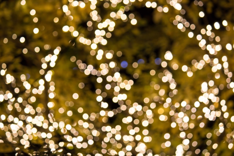 night, plant, cosmic, shiny, decor, effect, phtography, no people, circle, template, festive, tree, sparkle, celebrate, reflection, christmas decoration
