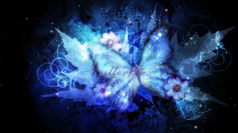 science, animal themes, pattern, sea, special effects, blue butterfly, darkness, abstract, marine, underwater, digital art, nature, invertebrate, graphics