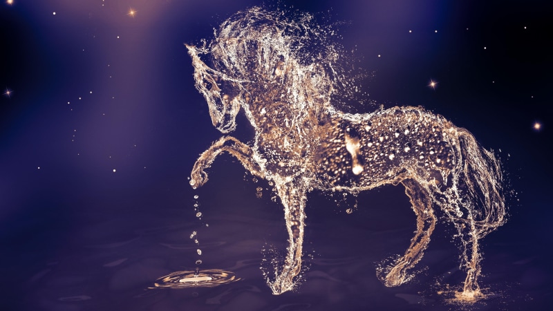 water drops, digital art, night, special effects, drops, droplet, star, 4K, darkness, horse, starry