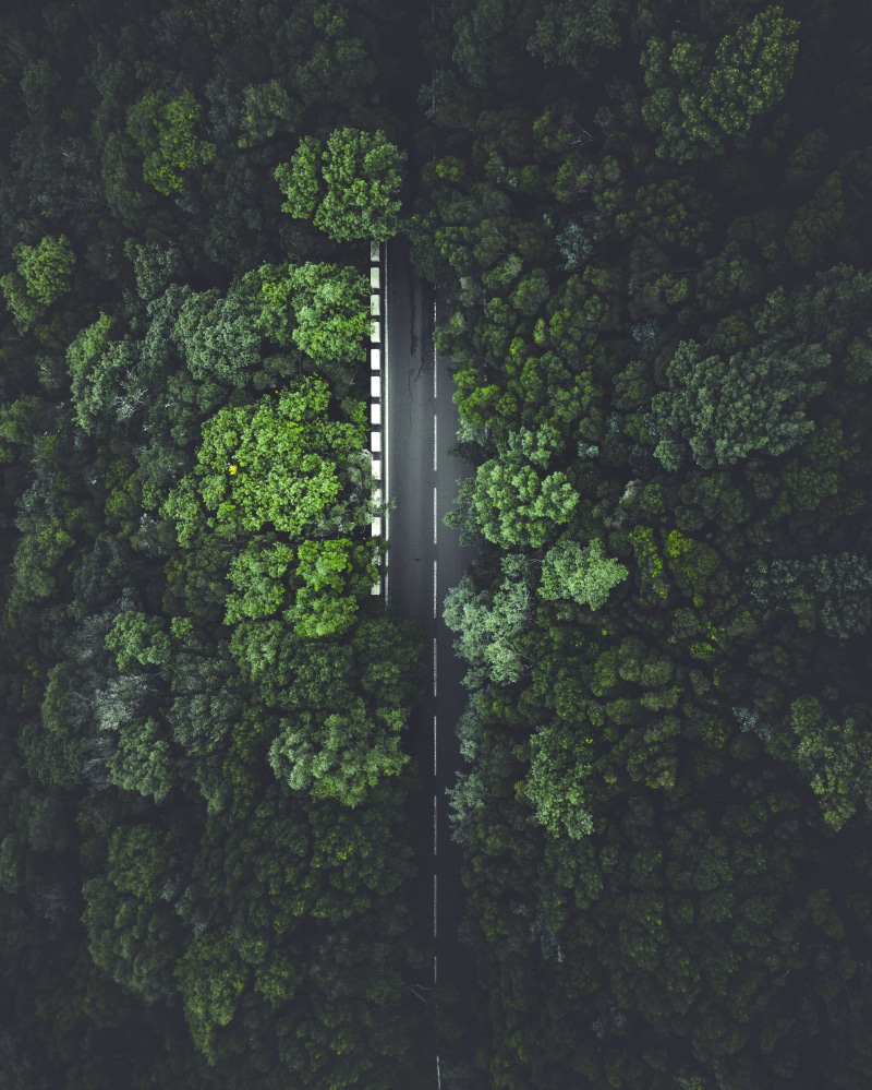 drone view, green Color, tree, background, explore, texture, drone, summer, plant, 2K, no People, moody, travel, backgrounds, road, highway, jungle, green