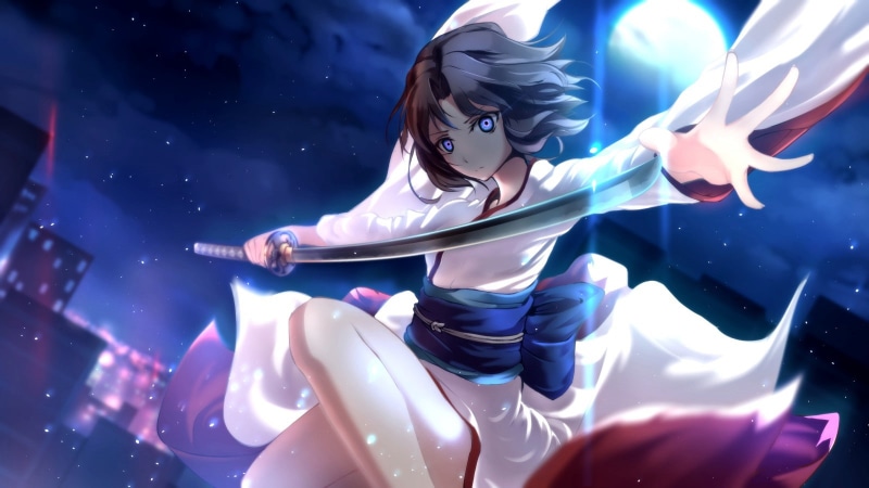 celebration, art and craft, night, blue, katana, sword, mammal, sky, women with swords, Kara no Kyoukai, low angle view, animal representation, Ryougi Shiki