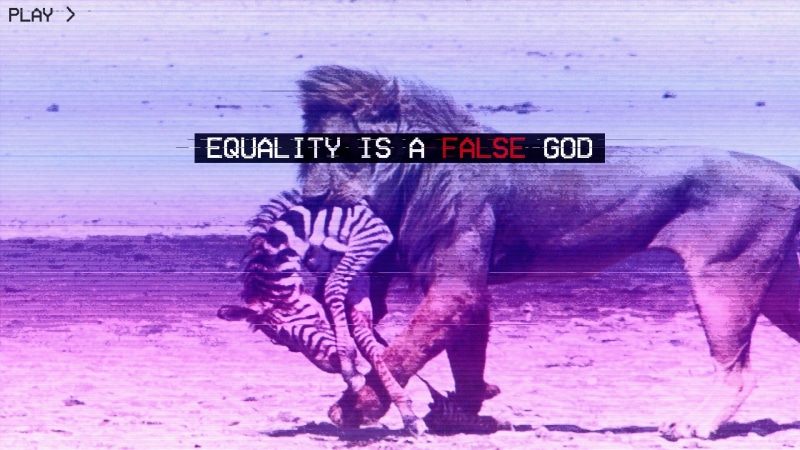zebras, lion, glitch art, 1080P, fashwave, hunt, Europe, vaporwave