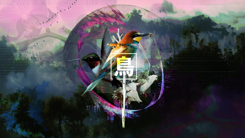 animals in the wild, day, animal wildlife, forest, vertebrate, full length, plant, kanji, real people, 2K, tree, water, vaporwave, illustration, birds