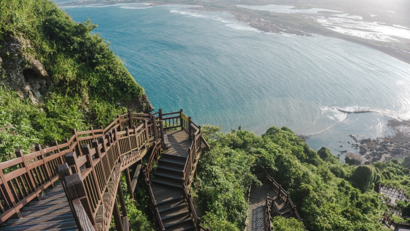 no people, high angle view, non-urban scene, south korea, sea, wood, tree, day, built structure, architecture, jeju-do, nature, outdoors, stairs, land