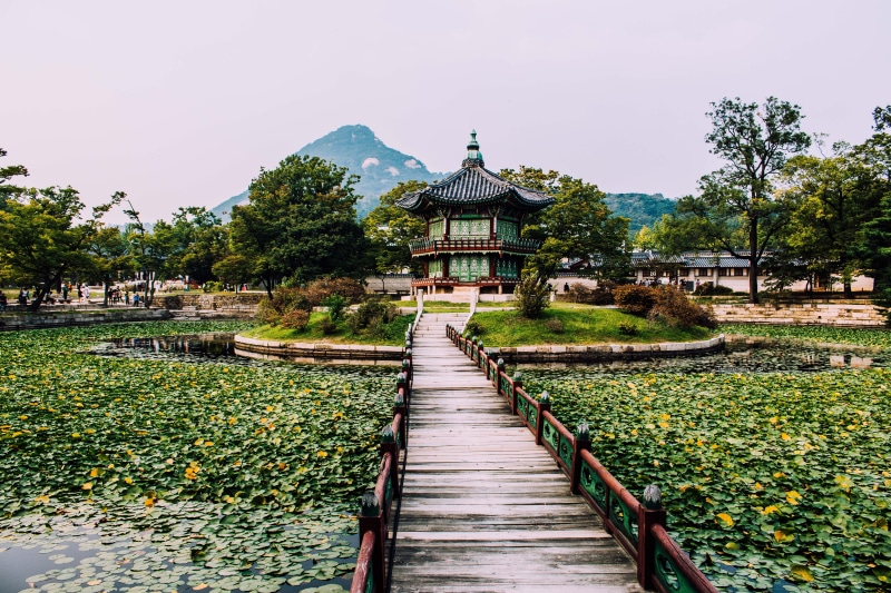 gyeongbokgung palace, built structure, day, religion, footpath, building exterior, no people, place of worship, spirituality, pavillon, green color, temple