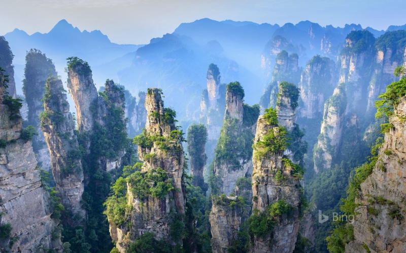 tranquility, day, rock formation, china, beauty in nature, mountain, fog, hunan, no people, forest, tree, zhangjiajie, scenics - nature, outdoors, formation