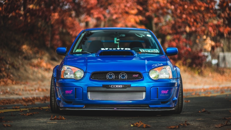 plant part, headlight, transportation, subaru impreza wrx sti, focus on foreground, retro styled, leaf, racing, auto racing, road, motor vehicle, change