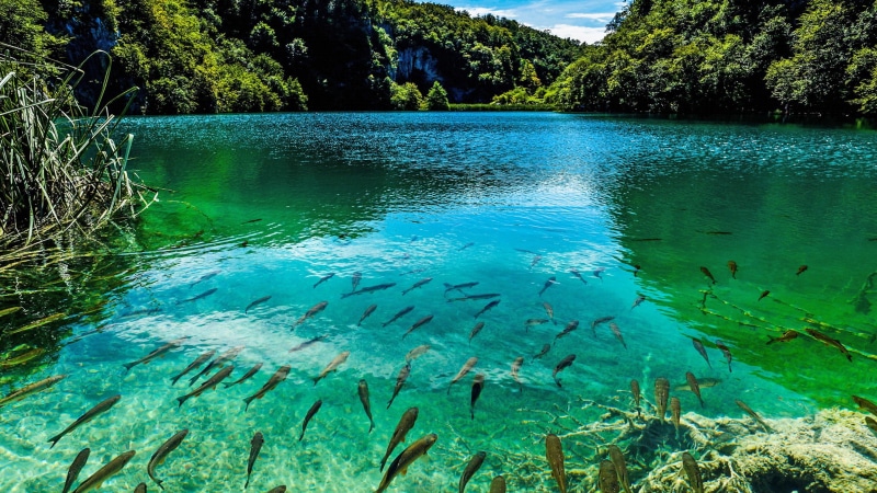 lake, national, croatia, plitvice, 2K, park, beautiful, turquoise