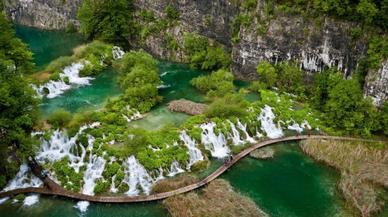 720P, high angle view, tranquil scene, flowing, forest, no people, waterfall, Plitvice National Park, brown, tranquility, Croatia, plant, day, water, tree