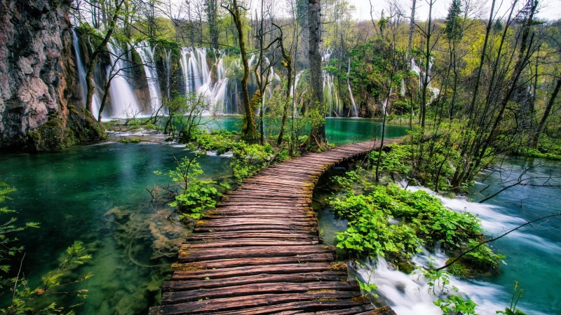 national, desktop, water, green color, growth, sq, tranquility, scenics - nature, river, flowing water, day, outdoors, waterfalls, plant, plitvice, waterfall