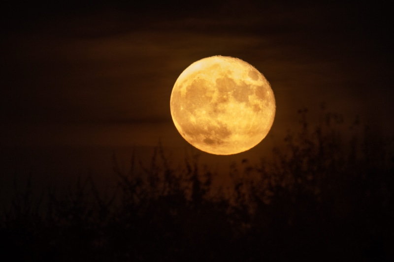 astronomy, circle, planetary moon, tranquil scene, space, moonlight, yellow moon, geometric shape, sunset, moonlovers, lunar, scenics - nature, no people