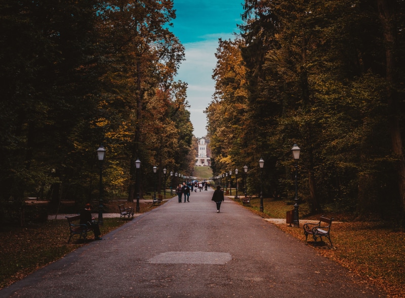 autumn, real people, croatia, walking, treelined, maksimir, zagreb, diminishing perspective, transportation, the way forward, growth, change, incidental people