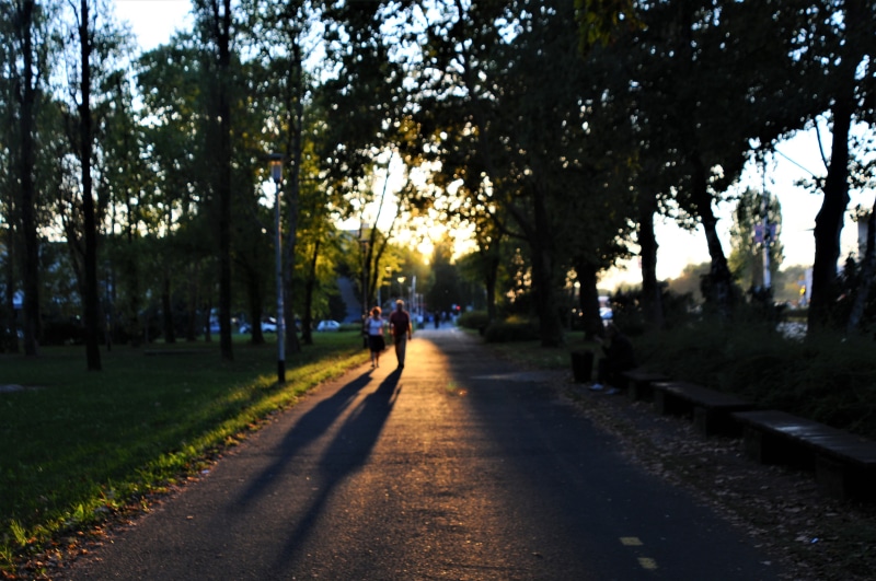 sky, road, surrounded, golden hour, light, sun, dirt road, plant, sunlight, path, footpath, one person, walking, people, daytime, real people, croatia