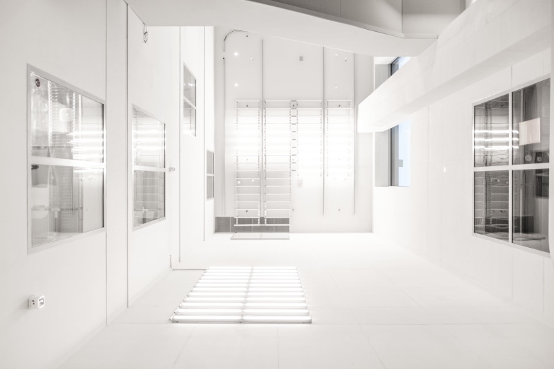 entrance, door, window, flooring, 4K, luxury, indoors, modern, clean, building, home Interior, near, corridor, architecture, white, entrance Hall, sunlight