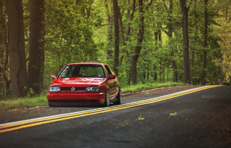 MK3, Volkswagen, transportation, 5K, land, red, plant, car, woodland, nature, forest, growth, road marking, land vehicle, hatchback, men, marking, trunk