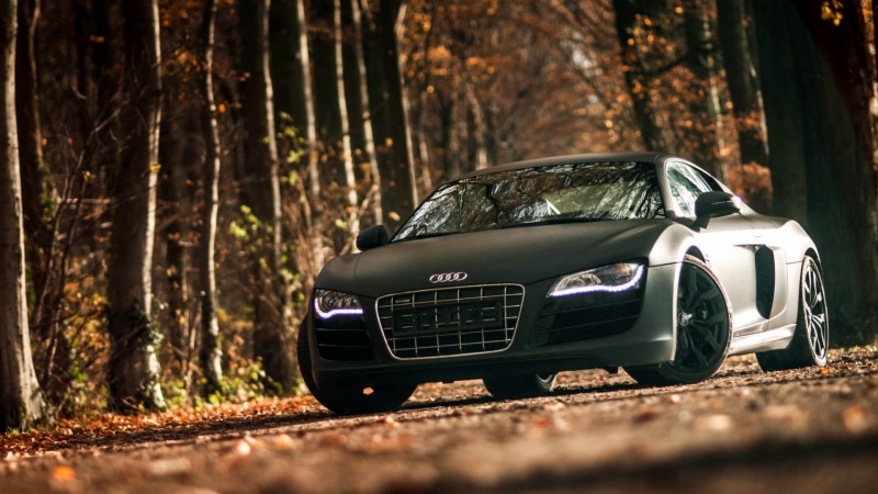 audi, land, outdoors, woodland, tree, r, motor vehicle, focus on foreground, growth, land vehicle, nature, forest, transportation, coupe, trunk, sunlight