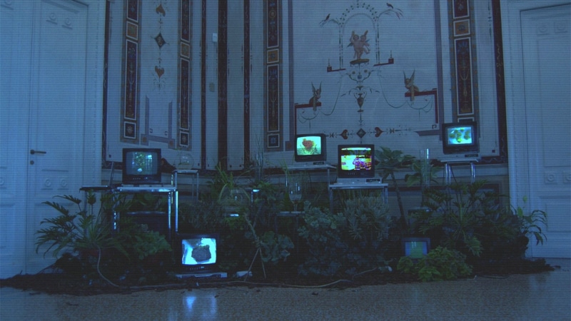 distortion, vaporwave, 1080P, TV, indoors, herbarium, VHS