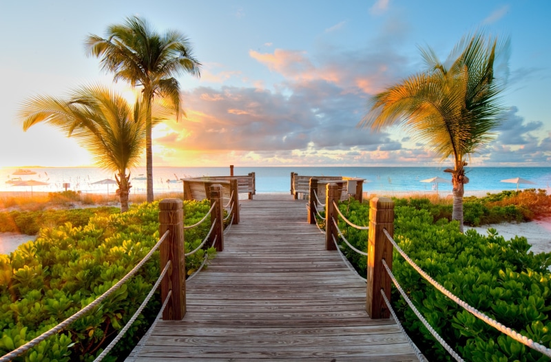 no people, tranquil scene, sky, beach, beauty in nature, tropical climate, tropical tree, wood - material, tranquility, sea, outdoors, plant, the way forward