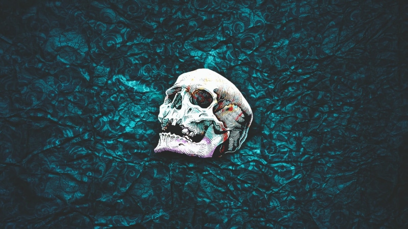white, skull, real people, bone, people, nature, day, high angle view, relaxation, forest, sea, water, simple background, leisure activity, outdoors, lifestyles