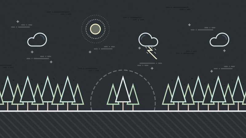 forest, line graph, 1080P, graph, education, business, technology, blackboard, communication, no people, chart, mathematics, material design, marketing