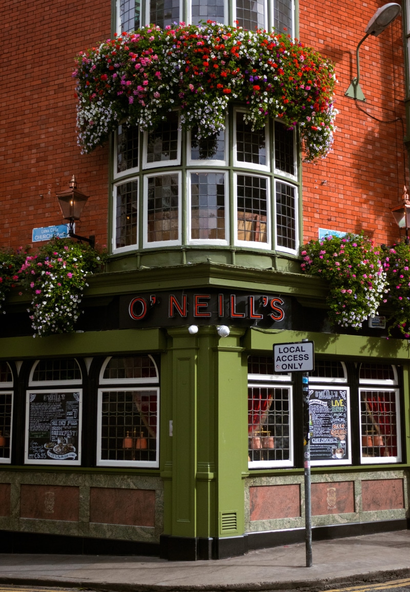 brick, outdoors, sunny, flower pot, bar, flowering plant, ireland, flower, fall, wall - building feature, bricks, corner, bar scene, travel, building exterior