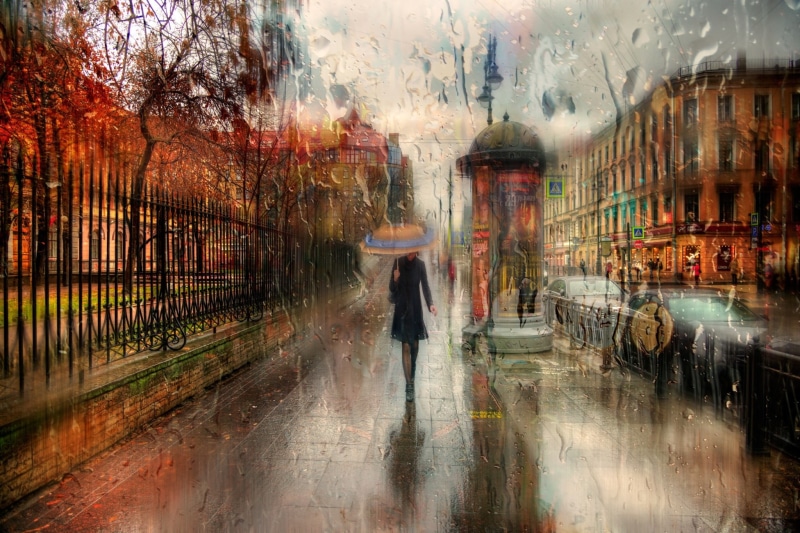 day, reflection, autumn, St. Petersburg, outdoors, transparent, umbrella, Russia, holding, wet, walking, motion, road, real people, person, nature, tree
