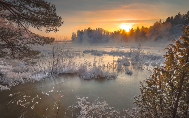 winter, cold - Temperature, winter time, nikkor, nature, kotka, landscape, langinkoski, beauty In Nature, time, outdoors, forest, scenics, snow, frost