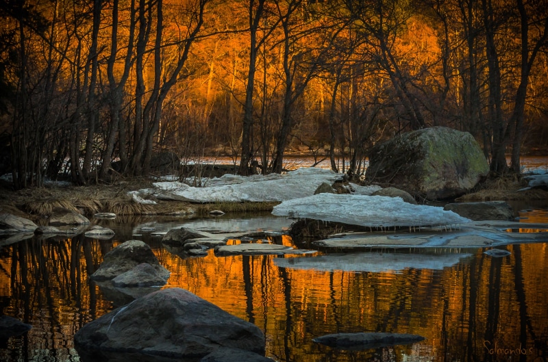 reflections, orange, kotka, nikkor, Wonders, ice, nikon  d600, Sunset, water, forest, near, yellow, scenics, dusk, trees, Langinkoski, landscape, body of water