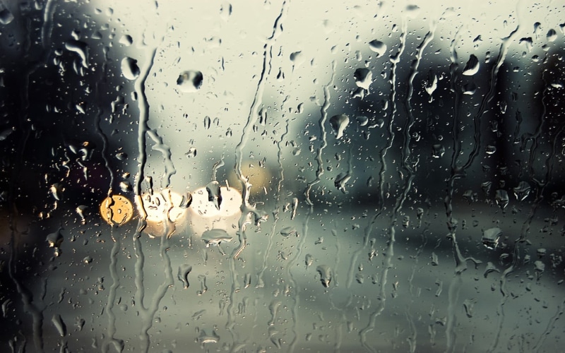 wet, nature, water drops, mode of transportation, full frame, glass - material, rain, transparent, drops, vehicle interior, no people, backgrounds, drop